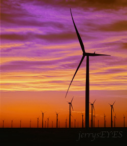 “Prairie Sprouts” Windmill farm at sunset, Nov 2012Gray