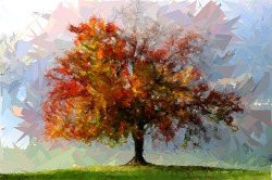 Abstract tree by FotoSketcher on Flickr.