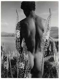 malephoto:  “Young Arab with foxtail lilies”  (Hammamet,