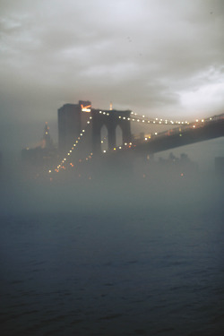 envyavenue:  Brooklyn Bridge