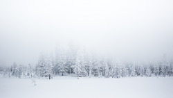 definitelydope:  Winter Fog | By Tiina Törmänen