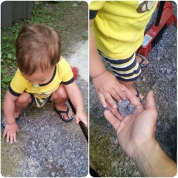 Picking up rocks and then giving them to me :) those must be