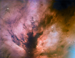 spaceexp:  The glow of ionized hydrogen in the Flame Nebula,