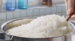 rectumofglory:  NOTHING IS BETTER THAN GOOD RICE LITERALLY NOTHING