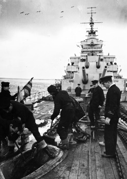 lex-for-lexington:Heavy cruiser HMS Shropshire in the spring