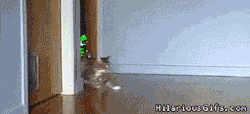 draco702:   preludioenmimenor:   Super Mario Cat   OMG I NEEDED