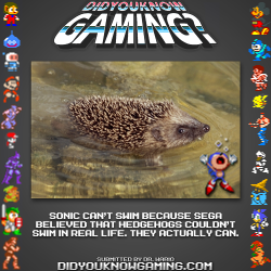 didyouknowgaming:  Sonic The Hedgehog. http://www.videogamer.com/xbox360/sonic_the_hedgehog/news/revealed_why_sonic_cant_swim.html
