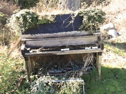 hippievanss:  found this old piano in the bushes last spring,