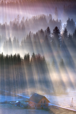 plasmatics-life:  Sun Rays ~ By Marcin Sobas