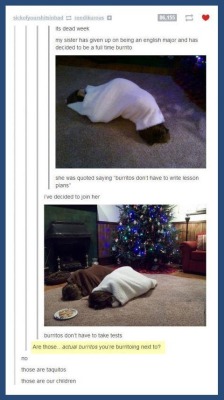farting-ghosts:  A compilation of Tumblr’s hilarious posts