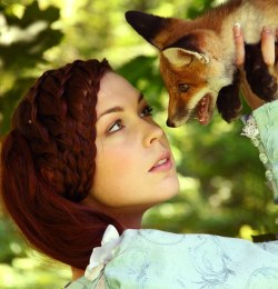 groteleur:  Foxes are some of the most interesting animals on