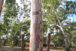 Ten pictures of when I was in Australia. With the Yolngu people