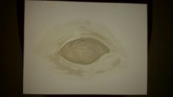 Oil painting on canvas, the eye is made with plaster and melted