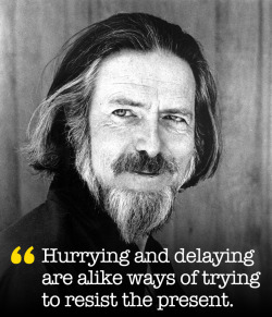 explore-blog:  Alan Watts on the art of timing and the pleasures
