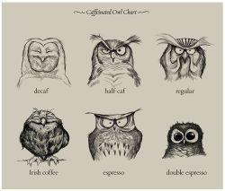 The caffeinated owl chart.
