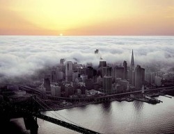 terrybohan:  Foggy Sunset, San Francisco, California