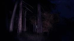 Playing Slender The Arrival at 05:00 AM ……. When