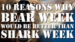 collegehumor:  Finish reading 10 Reasons Why Bear Week Would