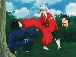 a fairly concise representation of inuyasha