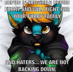 dovin-the-furry:  Fuck with our family, see what happens.  