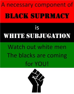 preachingblackpower:  Truth!  We are comin for all ya whitey’s.