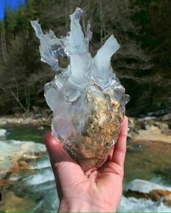diet-nicotine:  Found a picture of my heart