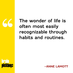 explore-blog:Anne Lamott on routine and ritual, plus some thoughts