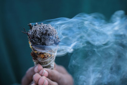 yasgawd:  zodiacbaby:  here’s some burning sage to cleanse