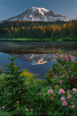 reagentx:  Reflection Lake, Mt. Rainier by Sean_Bagshaw | http://500px.com/photo/46804044