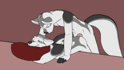 naughtyfemboy68: Thought I’d dump some gay yiff gifs for all