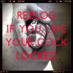 lockmycockmiss:  thecementofcivilization:  Reblog if you like