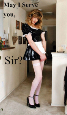 sissy-stable:  Do you want to offer your services to a Man ?