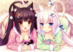 nekodata:  For neko fans and discussion join our OFFICIAL Facebook