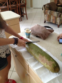 bondoge:   baconstuck:  bondoge:  this is a giant cucumber that