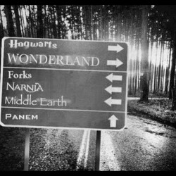 I’m taking the road to #hogwarts and #wonderland #harrypotter