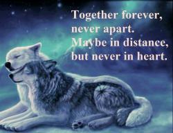 jollyrogers777:  <3 Forever my Shewolf <3 