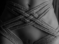 sirbknight:  BDSM and More  That is some serious rope talent.