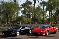 desertmotors:  Lamborghini Jalpa and Lamborghini Countach 5000S
