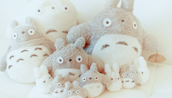 sam2119931:  Totoro Plushies.