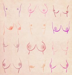 sexeed:  skelliwog:  velvet-moon:  what tits actually look like
