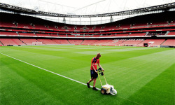 oliviergiroudd: The lines are repainted onto the Emirates pitch