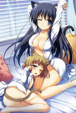 hqhentai:  Free Hentai Cartoon Sex Pics Hentai porn pics online