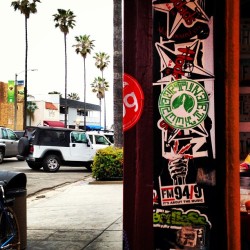 fortunecookieco:  Had to hit up Hodads in Ocean Beach while in