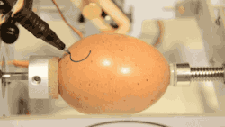 gifsboom:  EggBot. [video] 