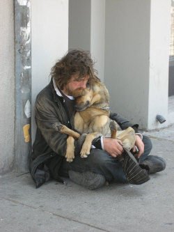  “Once a dog forms a close relationship with a caring owner,