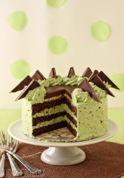 gastrogirl:  mint chocolate chip layer cake. 