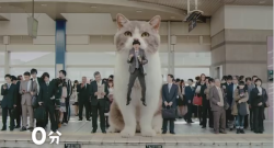 archiemcphee:  Leave it to Japan to demonstrate an exceptionally