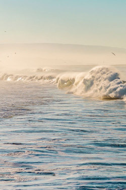 plasmatics-life:  Big Waves at Newport Beach ~ By Meeyak