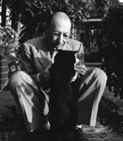 bigbronwyn:  Igor Stravinsky and his cat. California, 1947 Henri