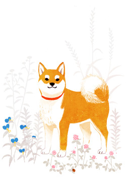 shinoillustration:  柴犬 “Shiba”